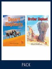Flying Start Guided Reading Level 18, Pack 2