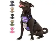 Walktofine No Pull Dog Harness With Id Tab