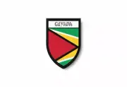 PATCH PATCHES EMBLEM IRON ON GLUE PRINT FLAG world crest guyana