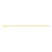 9ct Yellow Gold Round Disc Charm Oval Belcher 19.7cm Bracelet