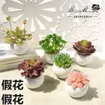 假花仿真多肉植物盆栽創意客廳桌面綠植植物擺件物架裝飾品裝飾