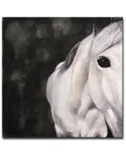 Ready2HangArt Spirit Horse Wrapped Canvas Wall Art by Norman Wyatt