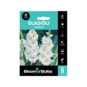Bloomin' Bulbs White Gladioli - 5 Pack