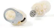 Pair of 12V Motor & Gearbox Assembly for Peg Perego Children Ride on Car, 12 Volt for Peg-Perego for Polaris RZR 900 / for Polaris Slingshot Gear Box
