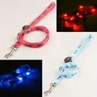 LED Pet Dog Glow Flashing Light-up Night Safety Collar Leashes Battery Operated