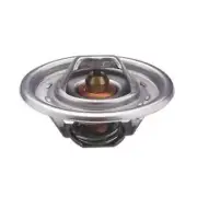 Thermostat Fits Massey Ferguson 30 3165 40B 302 1100 165 50 65 300 255 304 1130