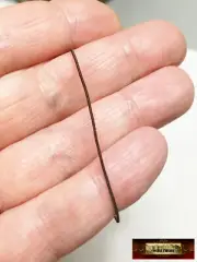 M00249-FS MOREZMORE Round Elastic Cord Ball Jointed Doll BJD 0.5mm BROWN 10 Y