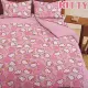 SHINEE 台灣製《Hello Kitty》加大雙人床包三件組(6尺)-蘋果派對