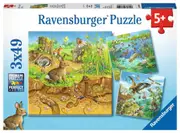 Ravensburger Puzzle 3 x 49pc - Animals In Their Habitats
