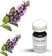 Clary Sage Essential Oil / 100% Pure Clary Sage Undiluted Essential Oil Premium Quality (250 ML, NATURAL)