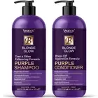 Sulfate Free Brass Toning Purple Shampoo and Conditioner Set