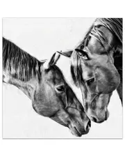 Empire Art Direct Kindred Colts Frameless Free Floating Tempered Glass Panel Graphic Wall Art