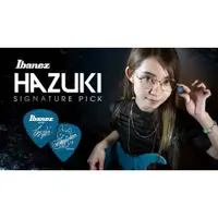 在飛比找蝦皮購物優惠-【老羊樂器店】開發票 IBANEZ 1000HZK 防滑匹克