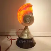 Vintage Art Deco Nautilus Seashell Figural Lamp Shade Spectrum with Engraving