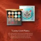 ZEESEA Maya Eyeshadow Palette - #01 FELINE (16 Shades) Shimmer Matte Eye Makeup