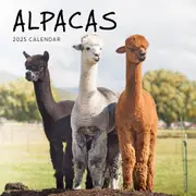 Alpacas 2025 Calendar
