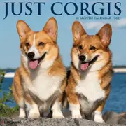 2025 Corgis Wall Calendar