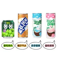 在飛比找蝦皮購物優惠-【首爾先生mrseoul】韓國 HAITAI 海太 果汁飲料