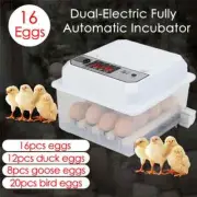Fully Automatic Turning Egg Incubator Dual-Electric for Chicken Goose Duck Birds