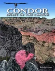 NEW - Condor: Spirit of the Canyon