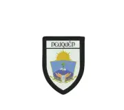 Patch printed embroidery souvenir shield crest city travel argentina neuquen