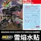 【鋼普拉】現貨 雪焰水貼 螢光水貼 鐵血的孤兒 MGSD GUNDAM BARBATOS 巴爾巴托斯 獵魔鋼彈