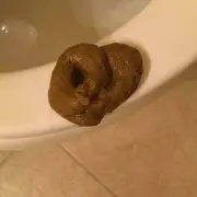DOG POOP - Funny Classic GaG Prank Joke Child Toy Tool Tricks Gags