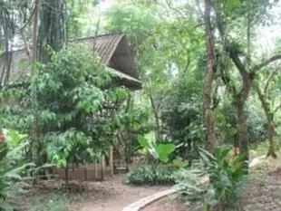 考索谷小屋Khao Sok Valley Lodge
