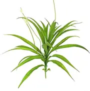 Artificial Cymbidium Orchid Plant Faux Greenery Bouquet for Home Garden Wedding Decoration for Dining Room Office Realistic Touch Artificial Orchid Flowers