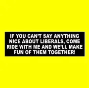 Funny "IF YOU CAN'T SAY ANYTHING NICE ABOUT LIBERALS" Anti Lib BUMPER STICKER