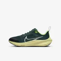 在飛比找蝦皮購物優惠-Nike Air Zoom Pegasus 40 GS 大童