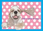 Cocker Spaniel Small Blank Note Card