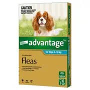 Advantage Dog 4-10Kg Medium 6'S Teal