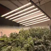 Phlizon 1000W Foldable LED Grow Light 8Bar Dimmable Full Spectrum Optimal Growth