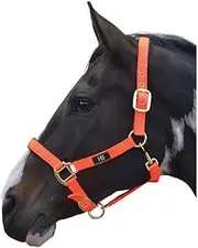 Hy Grand Prix Head Collar (UK Size: Pony) (Hot Orange)