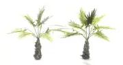 1/35 SCALE JUNGLE PLANTS MODEL SET. TPV-088