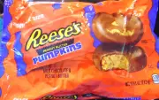 Bag of REESES PEANUT BUTTER PUMPKINS Snack Size BB 3/25 9.6 oz