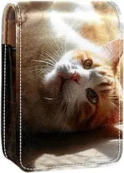 Lipstick Case,Leather Lip Gloss Lipstick Organizer with Mirror,Mini Lipstick Holder Bag,Cute Lying Cat