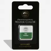 Mungyo Professional Watercolour Paint Half Pan - Viridian 832