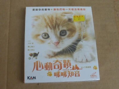 Kittens (Cute Baby Kittens) Video CD VCD 2 Disc Japanese English Subtitle