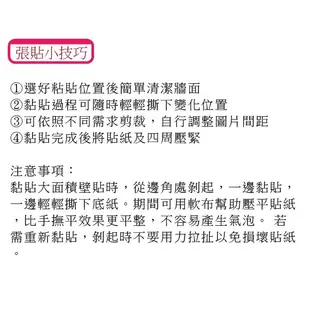 壁貼 俏皮貓 無痕壁貼 壁紙 牆貼 背景貼 可愛壁貼 Loxin