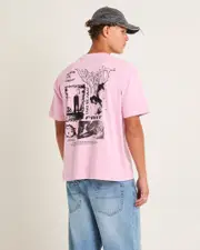 Transform Cropped T- Shirt