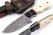 Beautiful Damascus Steel Fixed Blade 8" Hunting Knife Camel Bone Handle Xmas AU