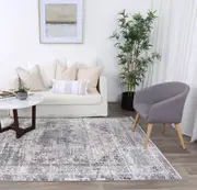 Seaport Multan Ash Traditional Soft Rug