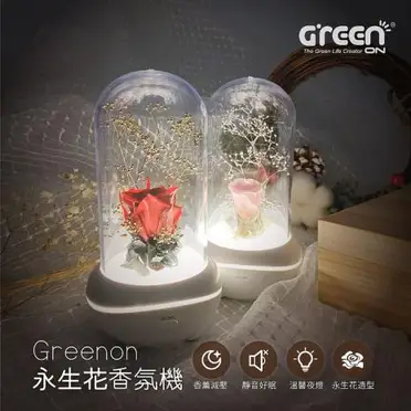 Greenon 永生花香氛機