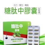 【生福生物科技】糖太中膠囊添加小分子苦瓜胜肽1入組 60粒/盒(苦瓜胜肽+紅麴+番石榴)