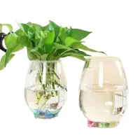 在飛比找蝦皮購物優惠-清倉 苔蘚生態瓶 水培植物玻璃瓶綠萝花瓶花盆辦公室創意水養魚