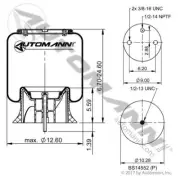 Air Spring Rolling Lobe AB1DK23L-8852