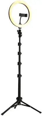 Mackie mRING-10 10-inch Battery-powered Ring Light Kit (2-pack) Bundle
