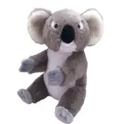 Koala Medium Plush Toy